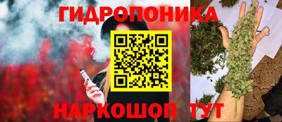 амф Камень-на-Оби