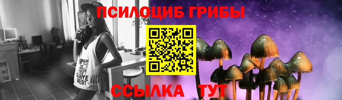 Псилоцибиновые грибы мицелий  где купить наркотик  Галлюциногенные грибы мицелий  Гулькевичи  Вход с VPN 