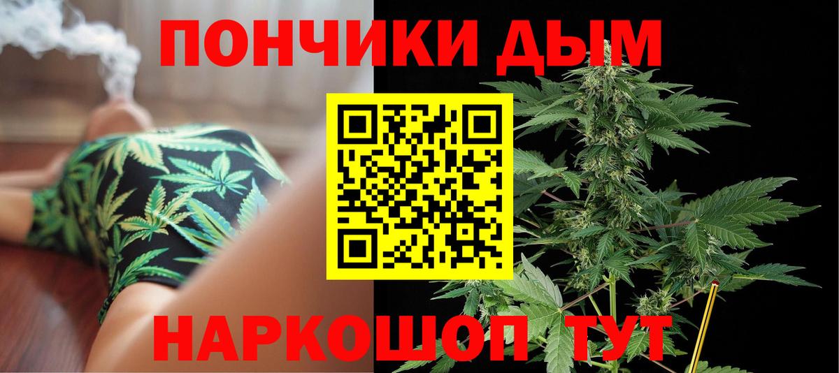 Бошки марихуана марихуана Гулькевичи